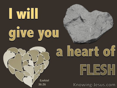 Ezekiel 36:26 A New Heart Of Flesh (brown)
